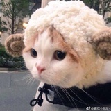 大锤子