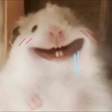 豆友204329447