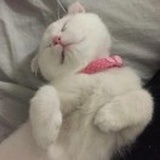 菇凉