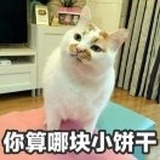 小何小何 你奈我