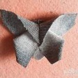 Sophia与桐