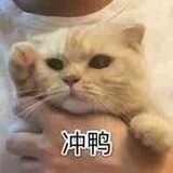 社畜小赵