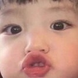 是三华李