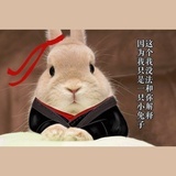 月上人