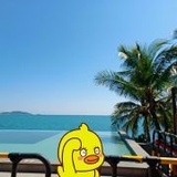 仙人攻略
