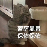 这里是豆豆