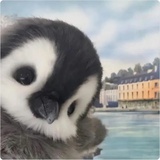 前程不想想钗裙