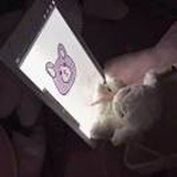 知非