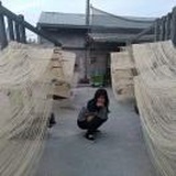 陳孟巧