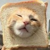 珠珠子