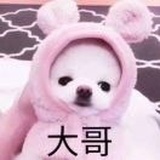 九三