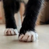 行者无疆
