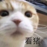 糖饼