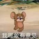 纯情小老许