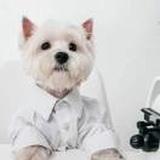 赫尔墨斯