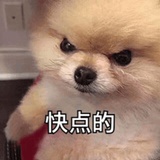 爱读书的陈大刚