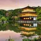 沾雨青衣醉清晨