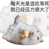 笨比沙一汀