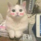 小熊饼干🍪