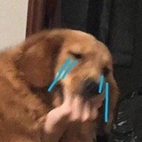 加班好累啊
