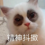 冲冲