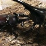豆友204726071