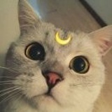 快快