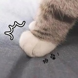 生气中......