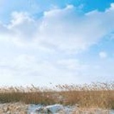 饭粒敏