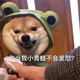 一个扁豆