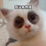 熬夜勇夺冠军