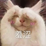 宋豆豆