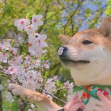 第一天就闭上眼