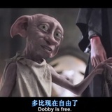 肥家猫