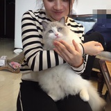 tokoko
