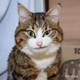 小p