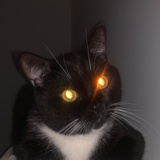 弱智才会看港剧