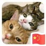 清和