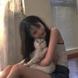 是小叶呐