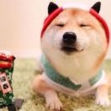 子舆