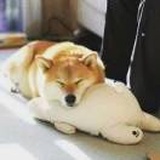 歌声嘹亮