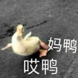 嘉子嘉子