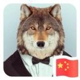对，我就是那个
