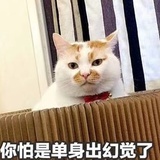 分不清的伤