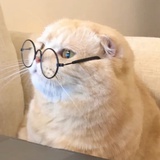 豆友204996235