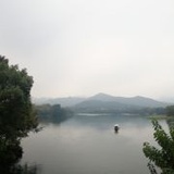 Cindy与玫瑰