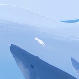 洛洛