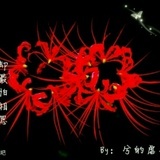 血莲花