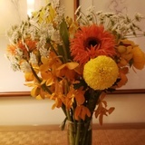 长姐享受慢生活