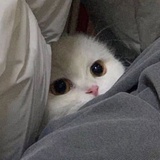knarfffffff